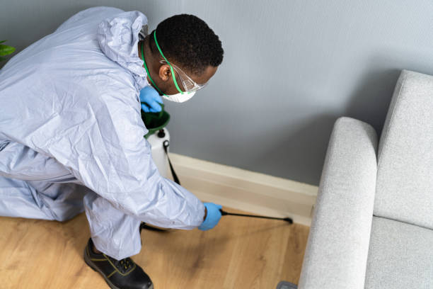 Best Residential Pest Control  in New Haven, MO